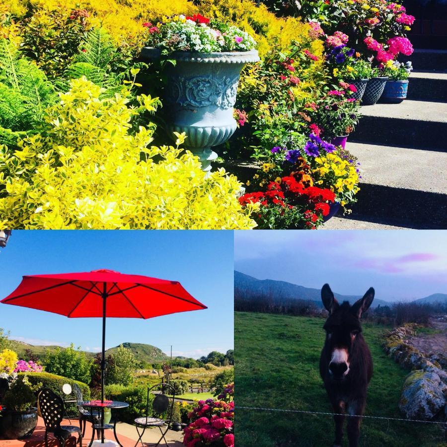Hillcrest Farmhouse Bed & Breakfast Boyhollagh Dış mekan fotoğraf