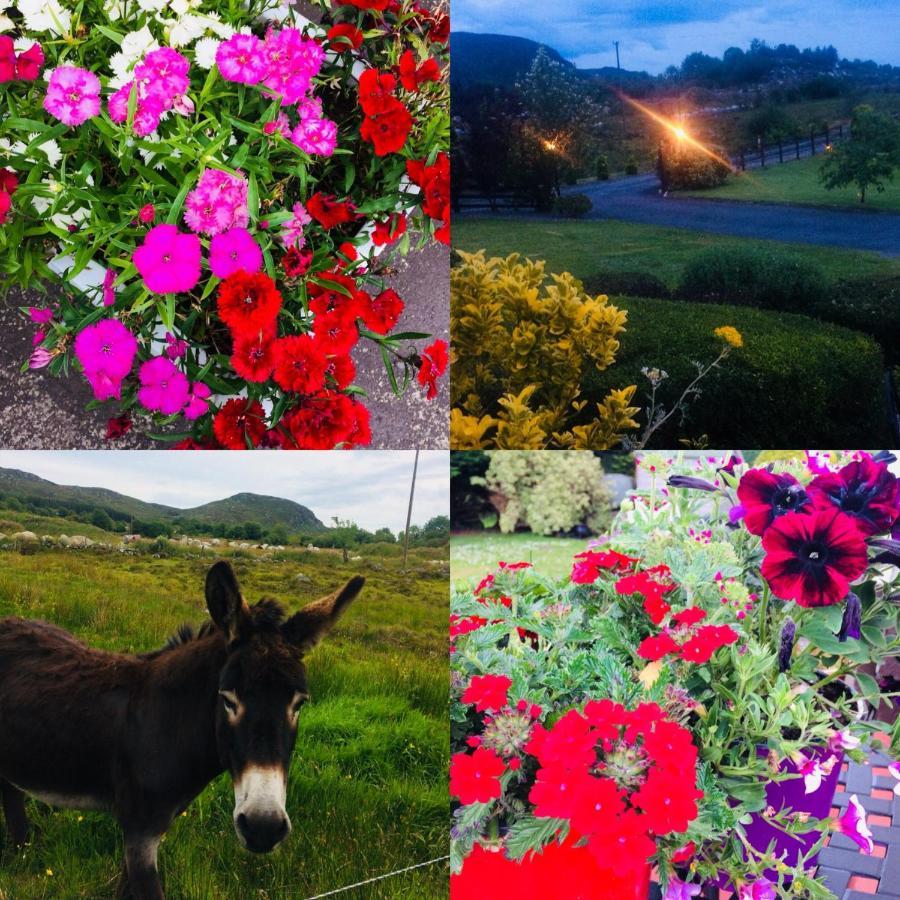 Hillcrest Farmhouse Bed & Breakfast Boyhollagh Dış mekan fotoğraf