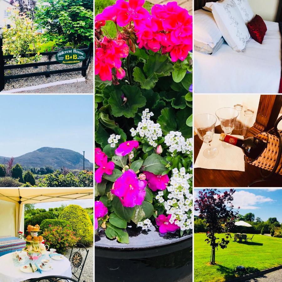 Hillcrest Farmhouse Bed & Breakfast Boyhollagh Dış mekan fotoğraf