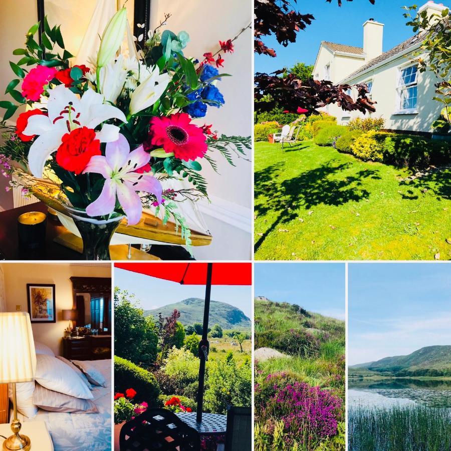 Hillcrest Farmhouse Bed & Breakfast Boyhollagh Dış mekan fotoğraf