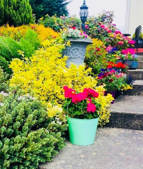 Hillcrest Farmhouse Bed & Breakfast Boyhollagh Dış mekan fotoğraf